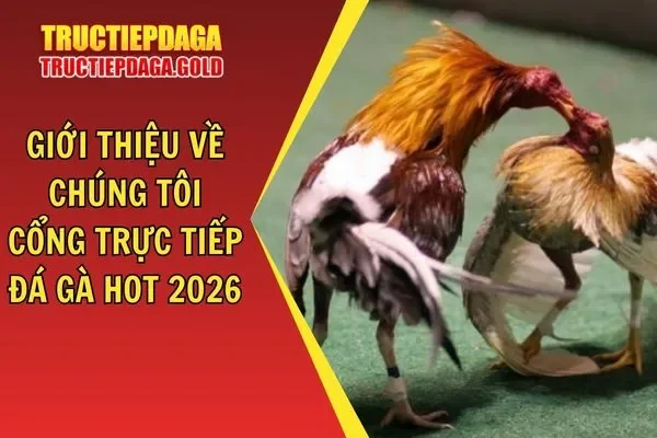 Giới thiệu về chúng tôi - Mục tiêu tại Việt Nam