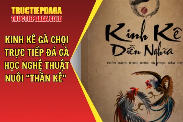 Kinh Kê Gà Chọi Trực Tiếp Đá Gà Học Nghệ Thuật Nuôi “Thần Kê”